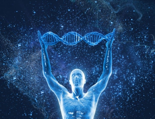 You Are Here to Experience What It Means to Be Human