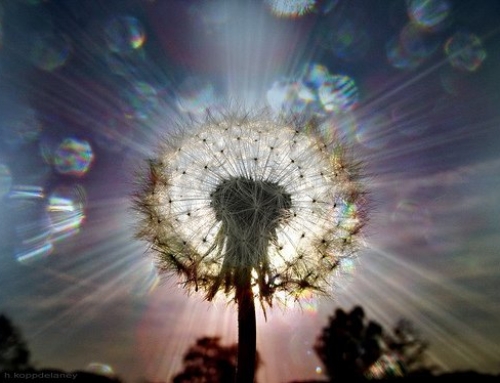 Are You Ready to Stop Working on Healing Yourself?