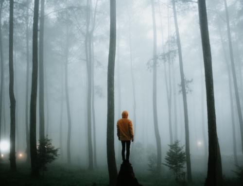 Prepare Yourself to Transform by Diving Deeper into The Mystery