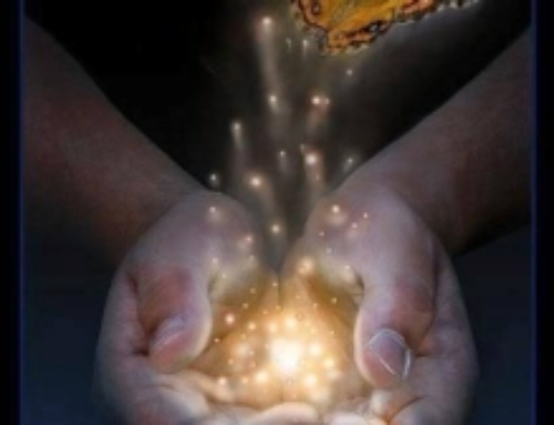 Prepare To Transform Your Life in 2024: Transform Limiting Beliefs