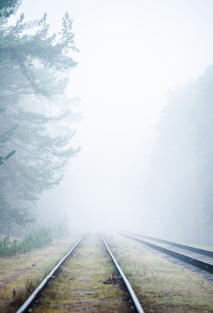 finding direction in uncertain times