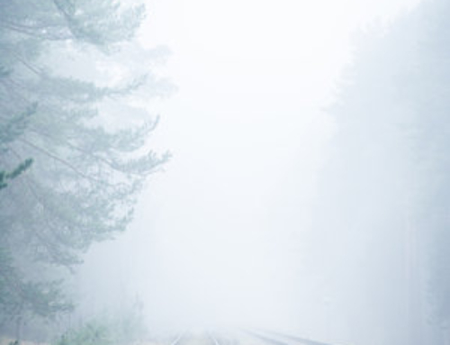 Finding Ourselves in Uncertain Times | What We Find When We Feel Lost