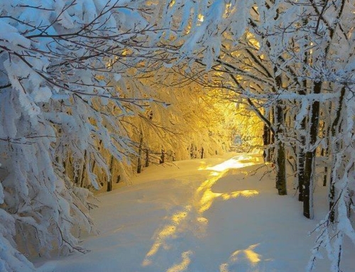 Living Through Uncertain Times: Why Mystery and Awe Matter Now (Part I)