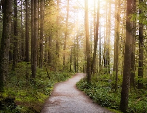 Rebuilding Purpose in a Rapidly Changing World